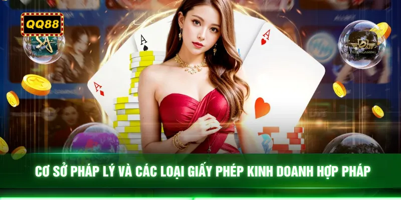 Cơ sở pháp lý và các loại giấy phép kinh doanh hợp pháp