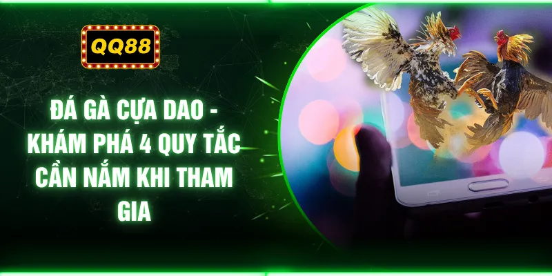 Đá Gà Cựa Dao - Khám Phá 4 Quy Tắc Cần Nắm Khi Tham Gia